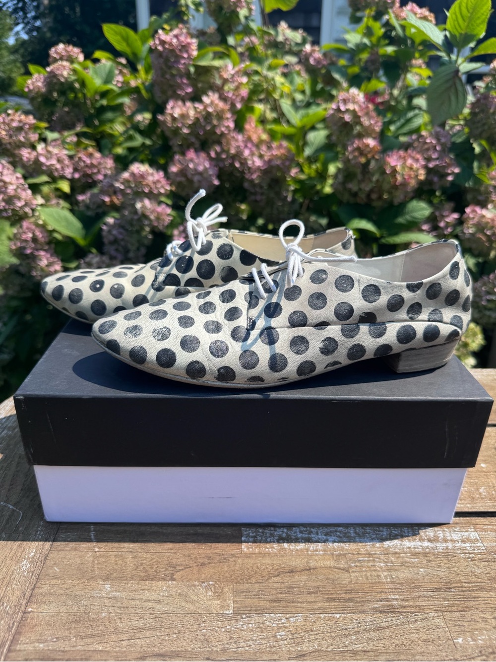 Women’s Marsell Coltellino Polka Dot Lace Up Shoe - 38